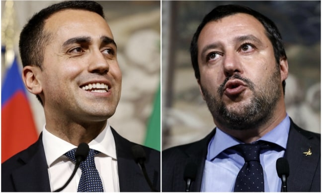 salviidimaio