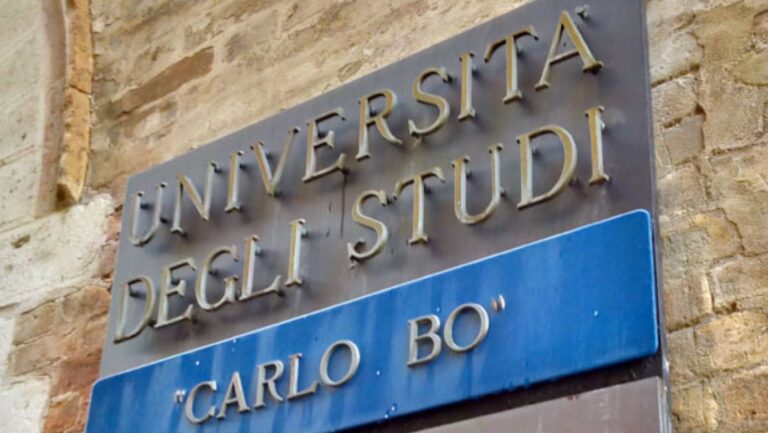urbino univ