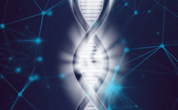 DNA